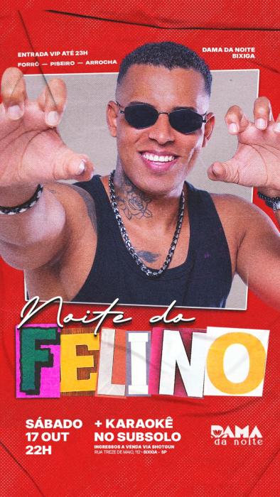 NOITE DO FELINO